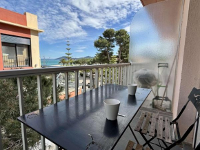Appartement 2 pièces 4 couchages ARGELES SUR MER AR910-016